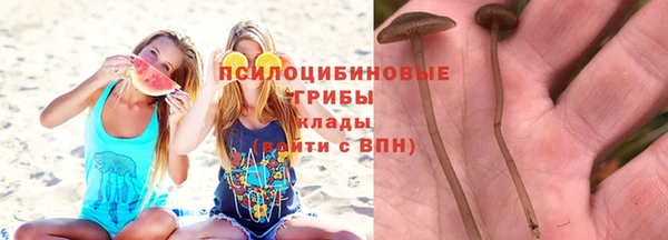 дурь Аркадак
